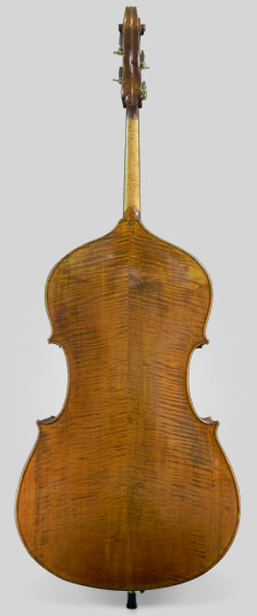 Rogeri roundback view